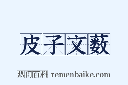 皮子文薮是什么意思的图片